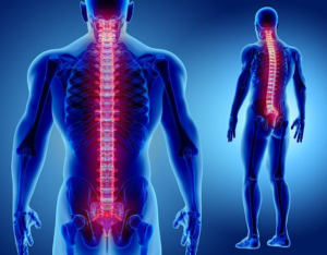 Musculoskeletal disorders - Work Right to keep Britain safe