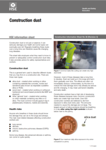 Image of construction dust information sheet