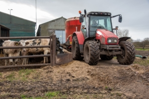 cattle and farm machinery